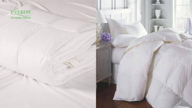 Everon cung cấp đa dạng dòng ruột chăn 4 mùa